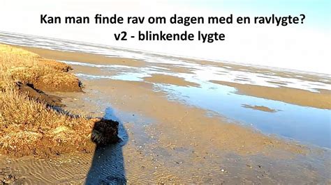 Kan Man Finde Rav Om Dagen Med En Ravlygte V2 Blinkende Lygte YouTube