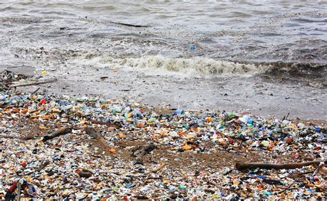 Un millón de toneladas de aditivos plásticos contaminan el mar cada año