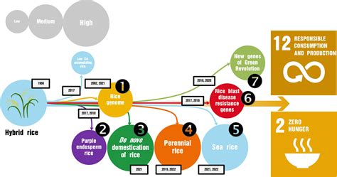 Frontiers The Legacies Of The “father Of Hybrid Rice” And The Seven Representative