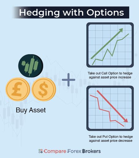 Forex Hedging Strategies How To Hedge Your Trades In 2025