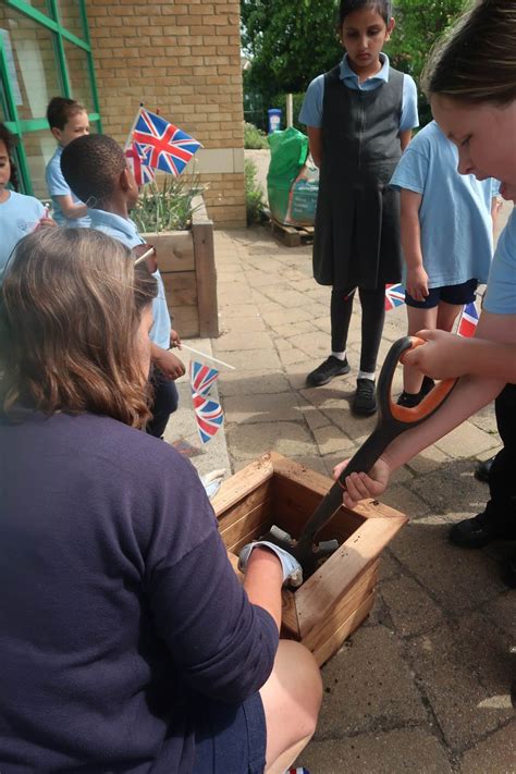 Olympus Academy Trust Beautiful Day For A Spot Of Coronation Tree