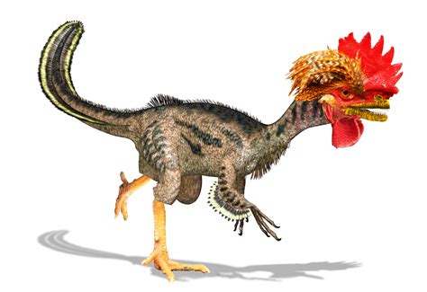 Dino Chicken Gets One Step Closer Live Science