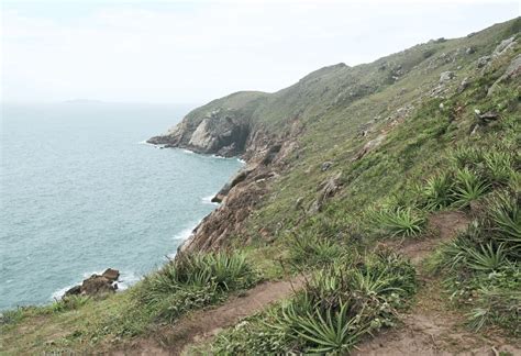 Melhores Trilhas Em Floripa Aventure Se Nas Trilhas De Floripa