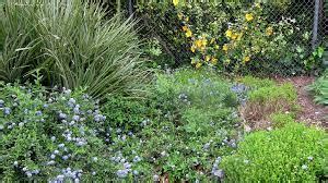 Planting Steep Slopes And Banks Arcadia Garden Design