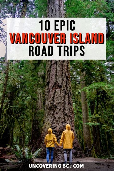 10 Epic Vancouver Island Road Trip Itineraries That You Will Want to ...