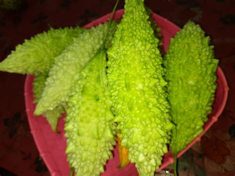 Bitter Gourd Seeds 10 Seeds Krishilokam