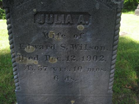 Julia Ann Parkhurst Wilson 1845 1902 Find A Grave Memorial