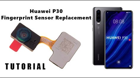 Huawei P30 ELE L29 Fingerprint Sensor Replacement Tutorial Wymiana