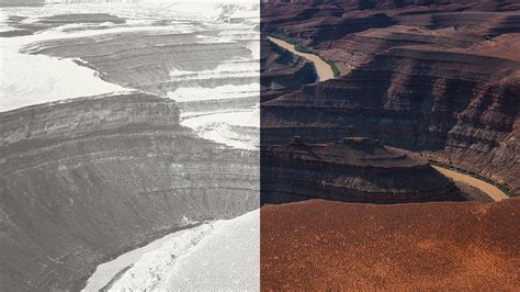 Lidia Yuknavitch Flicks Off Freud – Mother Jones