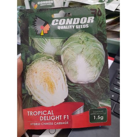 Condor Seeds Tropical Delight F1 Hybrid Chinese Cabbage Shopee