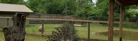 Alexandria Zoo Park Loop, Louisiana - 5 Reviews, Map | AllTrails