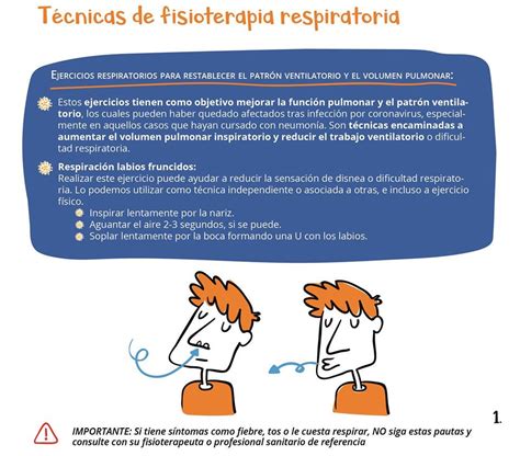 Compartimos Las Siguientes Recomendaciones De Fisioterapia Respiratoria