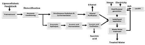 Block Diagram For The Multiproduct Biorefinery Plant Download