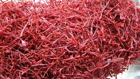 Super Negin Irani Saffron Style Fresh At Rs In Noida Id