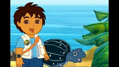 Go Diego Go Turtle