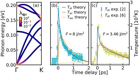 A Phonon Dispersion And Mode And Momentumresolved Electron Phonon