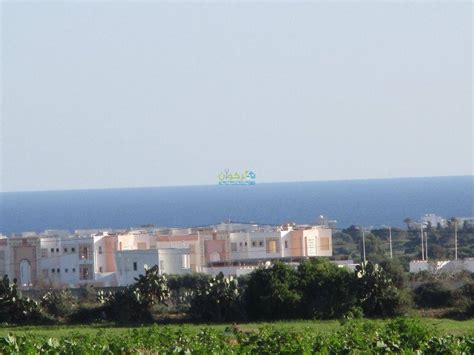 Réf3298134 Offres De Terrain Terrain Nu à Kelibia Kelibia Un