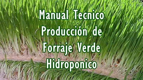 Forraje Verde Hidrop Nico Manual T Cnico Infoagronomo