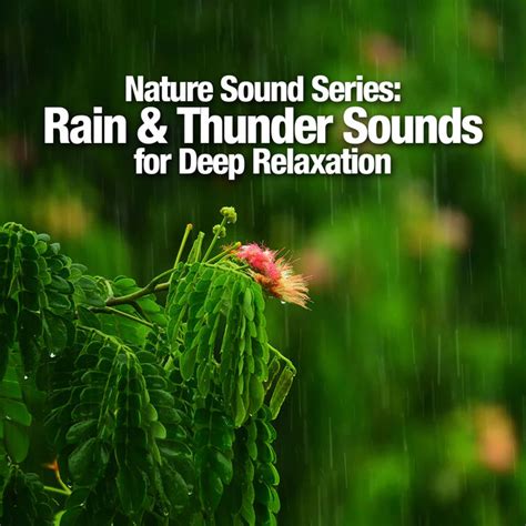 Nature Sound Series Rain And Thunder Sounds For Deep Relaxation Album