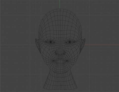 Modelo D De Cabeza Humana