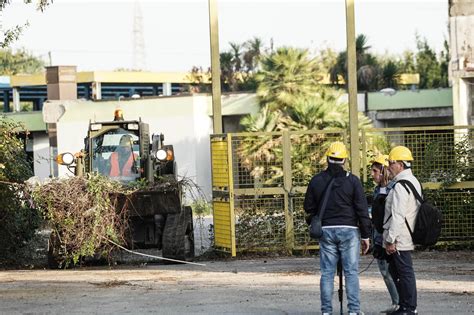 Caivano Bonifica Al Centro Sportivo Delphinia Le Foto