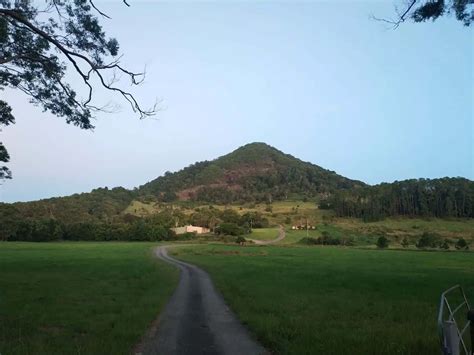 Cooroy Mountain - Climb, Bushwalking, Hike & Bike Trails Map, QLD