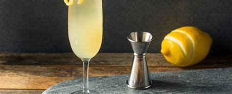 Domine a Arte da Coquetelaria Como Fazer Drink Irresistível French 75