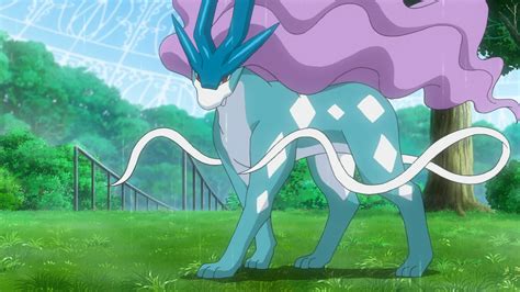 Gohs Suicune International Pokédex Wiki Fandom