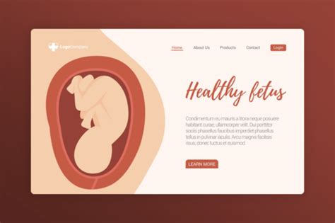 Website Illustration Health Fetus Graphic By Uppoint Design