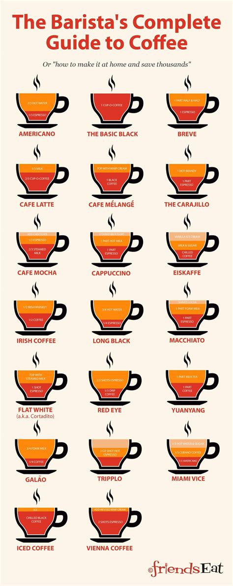 The Baristas Complete Guide To Coffee