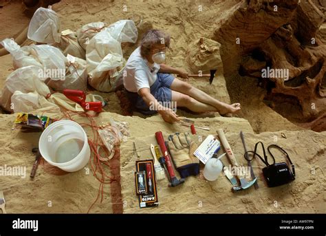 Paleontologist Tools Excavating Colombian Mammoth Remains The Mammoth