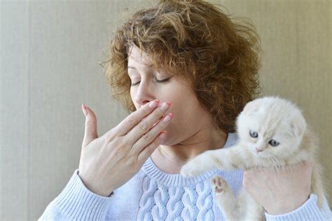 Лечение аллергии на кошек - Всё для ухода за здоровьем и лечения