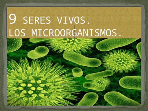 Pptx 9 Seres Vivos Los Microorganismos Dokumen Tips