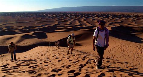 Immersion Dans Les Grands Ergs Du Sahara Marocain Voyage Maroc Huwans