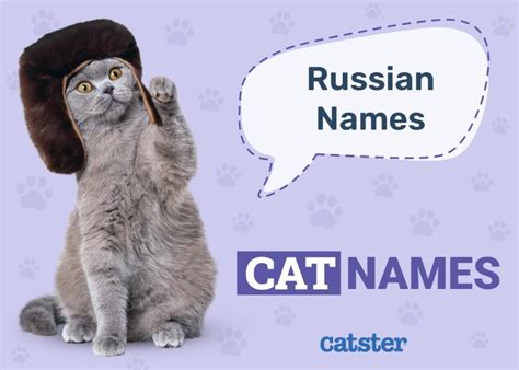 Russian Cat Names: 300+ Great Names for Your Proud Cat - Catster