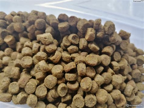 Корм для кошек 1st choice для всех пород Стерилайзид Sterilized сухой с ...