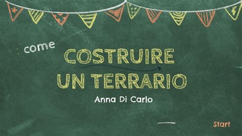 Come Costruire Un Terrario