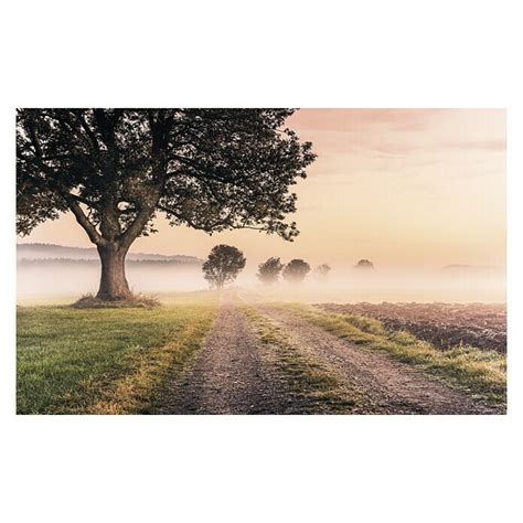 Komar Stefan Hefele Edition Fototapete Misty Morning Tlg B X H