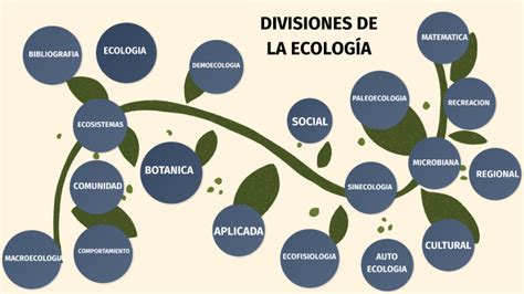 Divisiones De La Ecología By Michu Moyano On Prezi