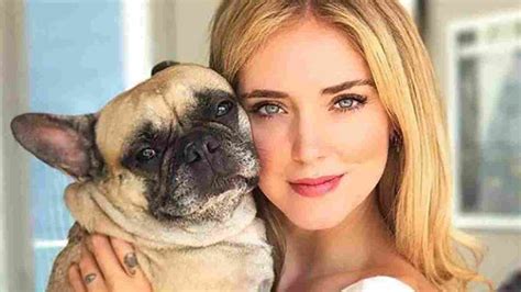 Addio A Matilda Morta La Cagnolina Di Chiara Ferragni