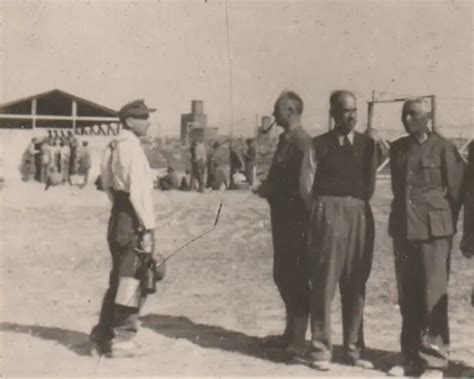 Foto Wehrmacht Soldaten Im Stacheldraht Lager Gruppenfoto Dak Gefangene