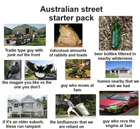 australian memes   special   humor