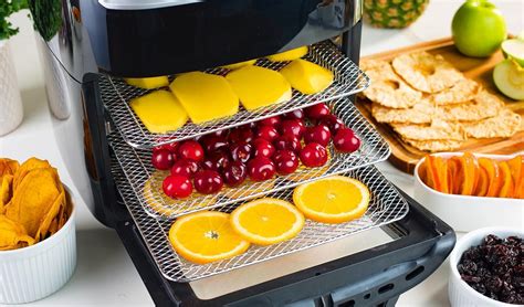 How To Dehydrate Fruit In Air Fryer | Storables