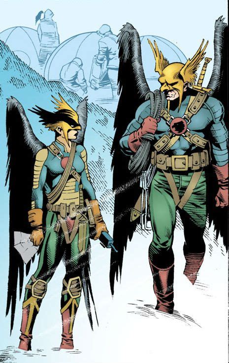 Hawkman And Hawkgirl By Rags Morales Dc Comics Art Comic Book Heroes