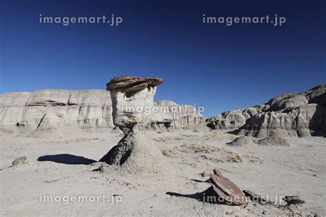 Bisti badlands De na zin wilderness area New Mexicoの写真素材 242928607