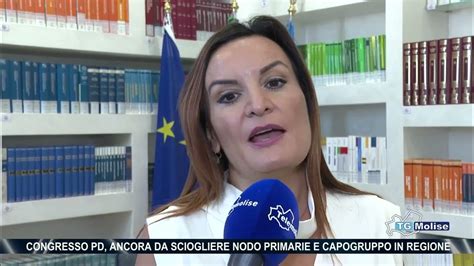 Congresso Pd Ancora Da Sciogliere Nodo Primarie E Capogruppo In