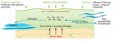 Les Polluants M Talliques Wiki Aur A