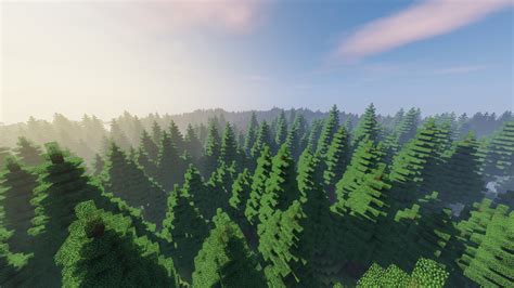 Minecraft Magic Forest