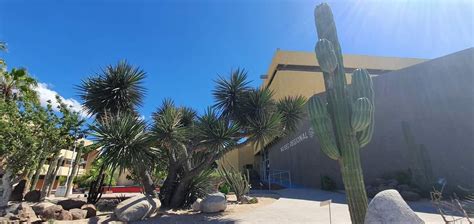 Museo Regional De Antropolog A E Historia De Baja California Sur Isc