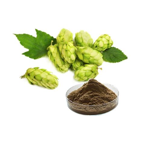 China Hops Extract Manufacturers Suppliers Factory - Good Price Hops Extract for Sale